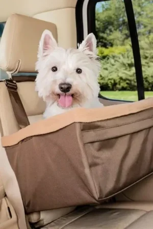 Exclusieve Aanbieding Solvit Tagalong Booster Seat - Standaard, Medium